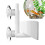 Adjustable Aquarium Air Bubble Stone, 1 Count 3