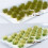 Grass Tufts Simulation Model 32 pcs 3