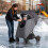 Stroller Weather Shield for Winter Wind and Rain Protection 6