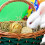 Small Animal Activity Toy for Bunny Rabbit Guinea Pig 8
