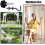 Hammock Hardware Kit Heavy Duty Black 8 Pcs 6
