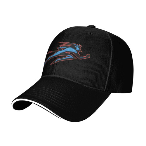 Șapcă de baseball Depaul University din bumbac, reglabilă, unisex 1