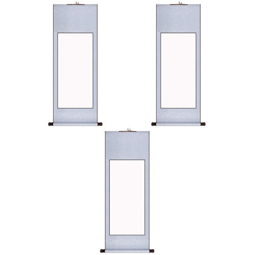 3Pièces Rouleaux Blancs Professionnels Argent Pour 2