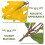 Artificial Bananas Bunch Plastic Home Decoration for Painters 1Pack 6