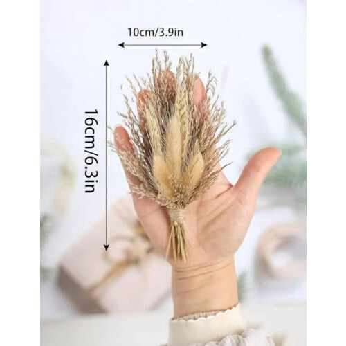 Mini bouquet de fleurs séchées grises (6 pièces) 2