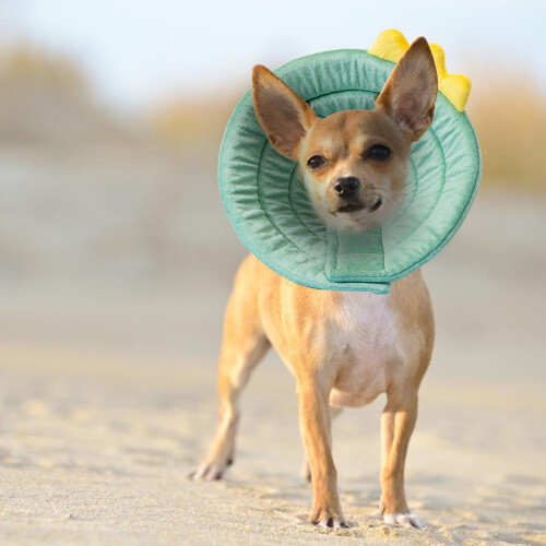 (S) Dino Cat Cone - Adjustable Soft Recovery Collar 1