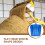 Plastic Snow Shovel Head Ergonomic Design for Car 1Pack 6