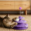 Cat Playground Tower with Three Floors 6