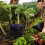 Weeding Gardening Work Stool Multi Outdoor Activities 1Pcs 4