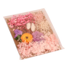 Craft Pressed Blooms Collection, Colorful Pressed Flowers Real Dry Flowers For Handmade Bookmarks And Home Decoration, Mixed Dried Flowers Floral