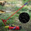 Tent Guy Rope Reflective 3mm 13ft 5