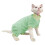 1Pcs Cat Clothes,Polyester Dog Dresses,Dog Sweaters,Green,M 3