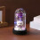 LED Rose Bear Night Light with Blue Preserved Flower and 6