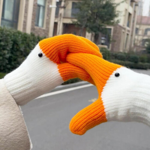 Χειμερινά γάντια Silly Goose για γυναίκες, ζεστά με βελούδινη επένδυση 2