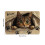 Πατάκι δαπέδου Cats Crystal Velvet, αντιολισθητικό, απορροφητικό νερού 3