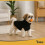 Hunde-/Katzenpullover, Schwarz, Größe L, Winterwärme 6