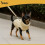 Hunde-/Katzenpullover, warmer beigefarbener Strick, Größe S 7