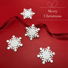20Pcs Snowflake Patches Iron Christmas Embroidered Patches Appliques for Arts Crafts DIY Decor Jeans Clothing Bags