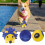 Dog Molar Toy Blue Latex Ball 1 Pack 3