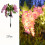 2 ηλιακά φώτα λουλουδιών Wisteria, εξωτερικά φώτα εδάφους με πρίζα, 52 χάντρες LED, 2 4