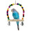 Beaded Perch Swing for Parakeets Cockatiels Finches 2