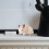 Mersess Hamster Triangular Ceramic Small Dishes for Rabbit and Water Bowl for Mouse Guinea White 3