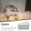 Mersess Hamster Triangular Ceramic Small Dishes for Rabbit and Water Bowl for Mouse Guinea White 8