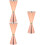 3Pièces Jigger Cocktail Inoxydable Rose, Double Tête Facile 6