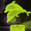 YSITIANNA3D Φωτιστικό Νυχτερινό Dolphin, με 7 Αλλαγές Χρωμάτων, Διακόπτη Αφής, Φωτιστικό 4