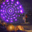 Φωτάκια ιστού αράχνης 4 ποδιών για το Halloween με 70 LED, τηλεχειριστήριο και 8 4
