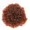 1000PCS Brown Plastic Queen Cell Cups for Beekeeping - Safe & Durable 2