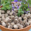 Resin Paving Stones Decorative 20 pcs 4
