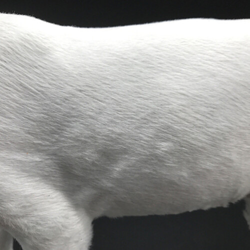 White Deer Ornament With Fine Workmanship For Shelf Table Or Car 2
