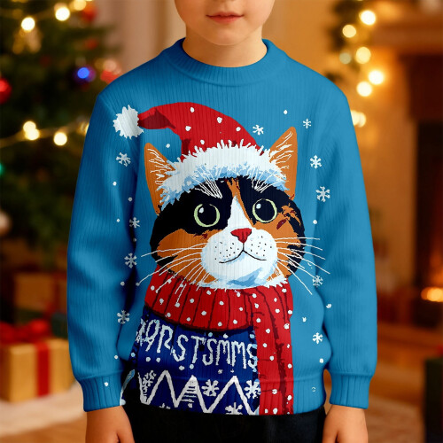 Boys Casual Graphic Sweatshirt Fleece Pullover Winter Daily 1