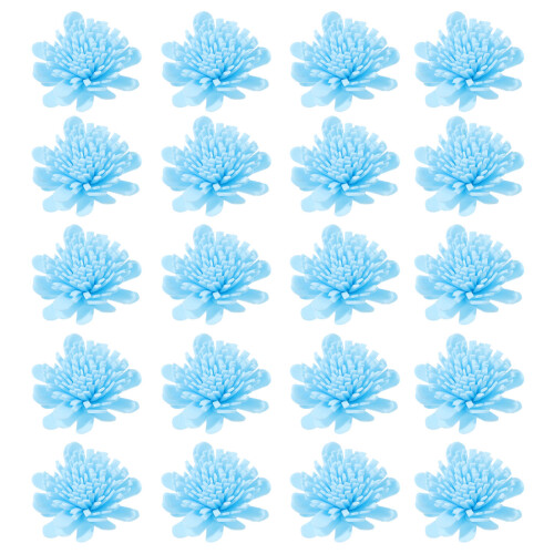 200St Blauwe Pe Chrysanthemum Voor Aroma Diffuser Gebruik 1