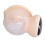 Portable Breast Pump Wearable Electric Hands Free With Smart LCD Screen Memory Function Low Noise Leak Proof Design For Efficient Milk Expression 8