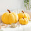 Μαξιλάρι κολοκύθας σε σχήμα 3D με θέμα το Halloween, εξαιρετικά μαλακό βελούδινο 2