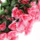Flor artificial rosa de seda plástica (4 peças) 3