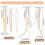 Interlocking Dreadlock Tools Kit 9-Pcs 3.5–5.5mm 3