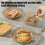 Food Grade Plastic Fruit Tray – Microwave & Dishwasher 4