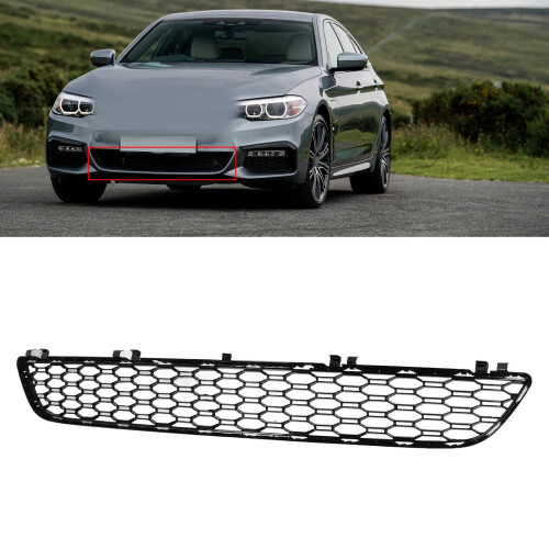 Protective Grille 51118068337 for BMW 5-Series 2