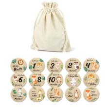 15PCS Beautiful Baby Monthly Cards - Double Sided Milestone Wooden Circles Discs with Birth Sign for Girl Boy
