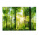 Waterproof 3D Forest Aquarium Film 10