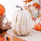 White Gold Foam Pumpkin 21cm – Paintable Fall Decor 5