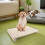 Nonskid Hondentrainingsbord Lichtbruin Training Agility 5