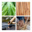 Tea organizer 9 compartments bamboo 6