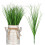 12Pcs Simulation Grass Plastic Models for Home Decor Photography Props 1
