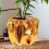 2Pcs Reusable Flowerpot Sleeve Protector 5