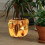 2Pcs Reusable Flowerpot Sleeve Protector 6