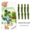 1 Box Long Strip Simulation Grass For Diy Sand Table Micro Landscape 6